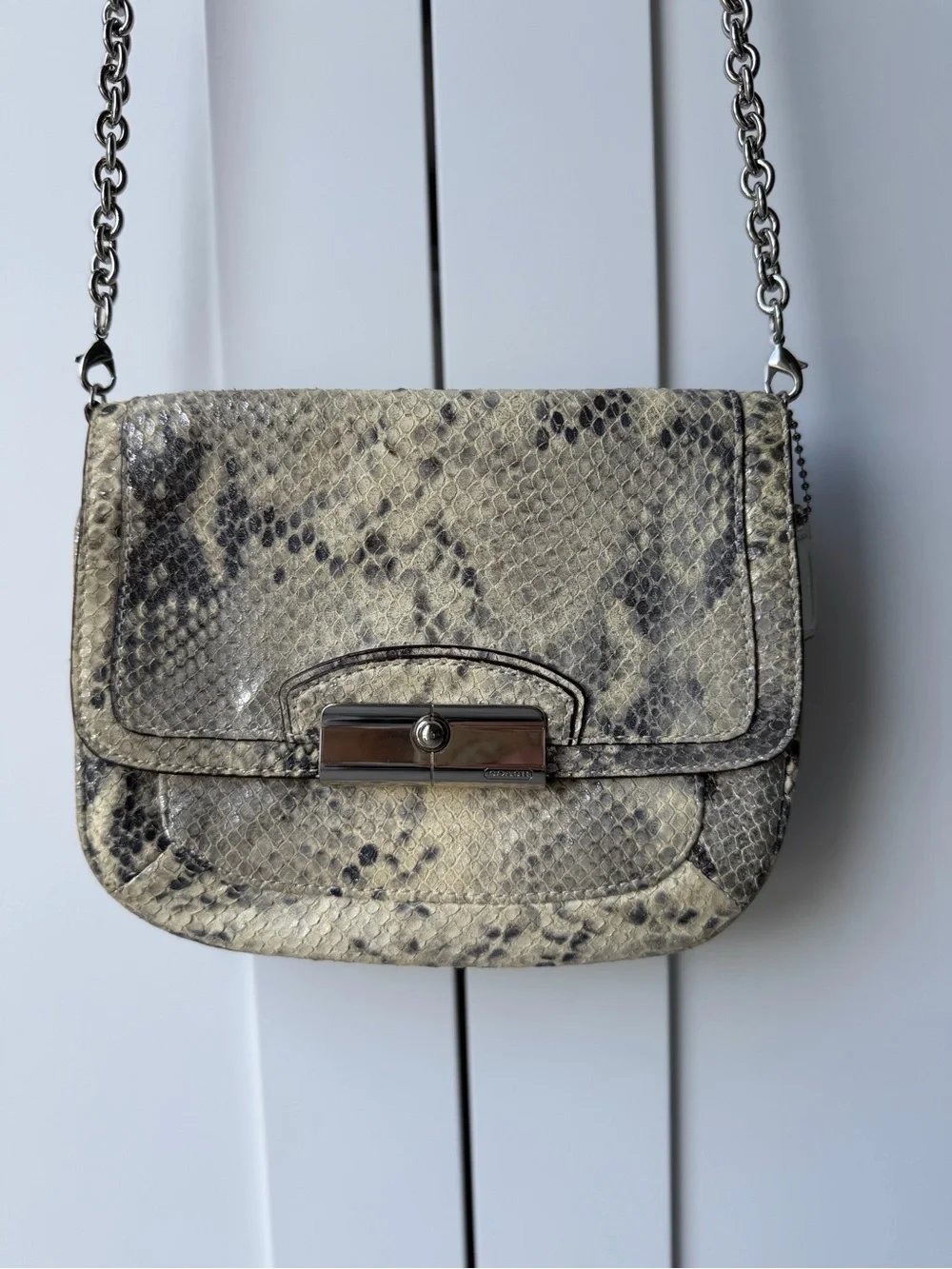 Coach Kristin Python Embossed Leather Crossbody Bag Silver Chain